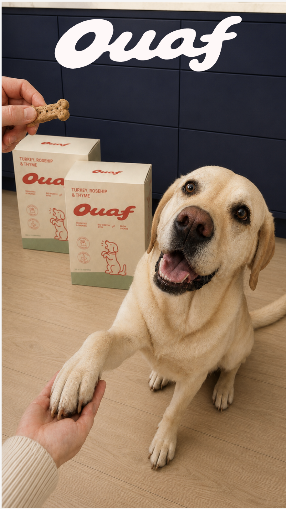 Ouaf script logo with dog and treat boxes